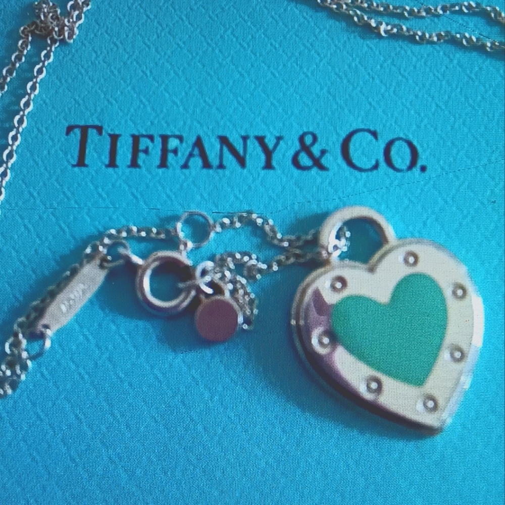 TIFFANY&CO REAR FIND NECKLACE .